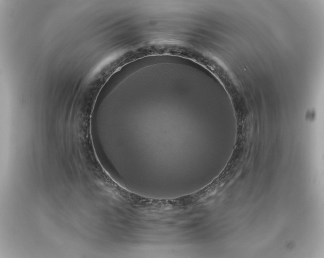 X0000091920919200709121535