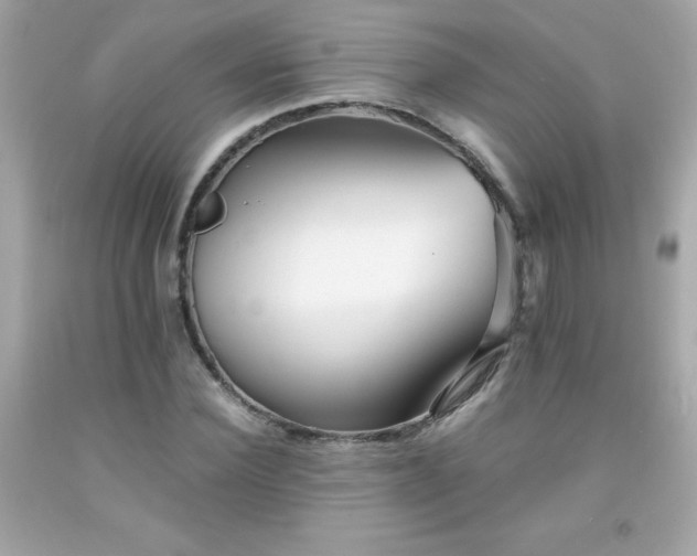 X0000091920924200709121535