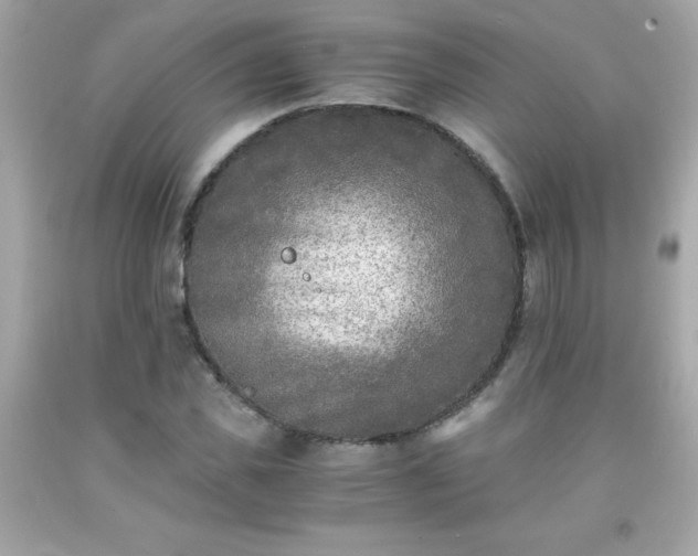 X0000091920925200709121535