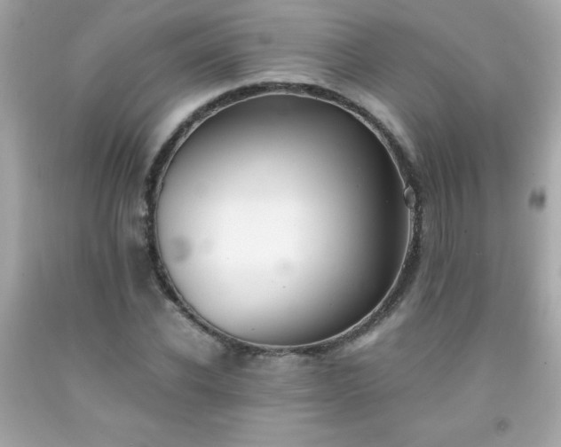 X0000091920926200709121535