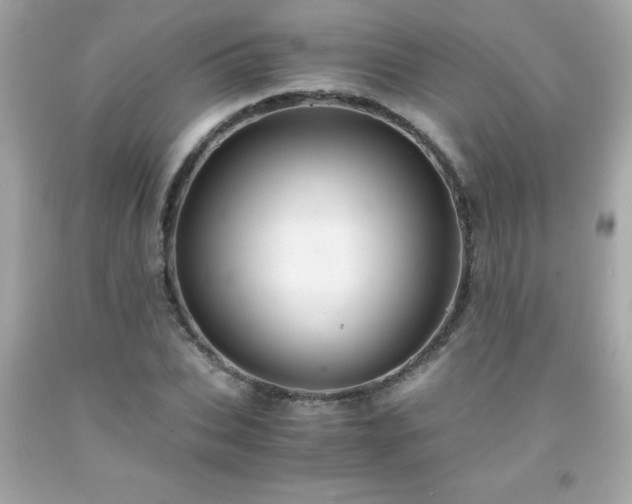 X0000091920927200709121535