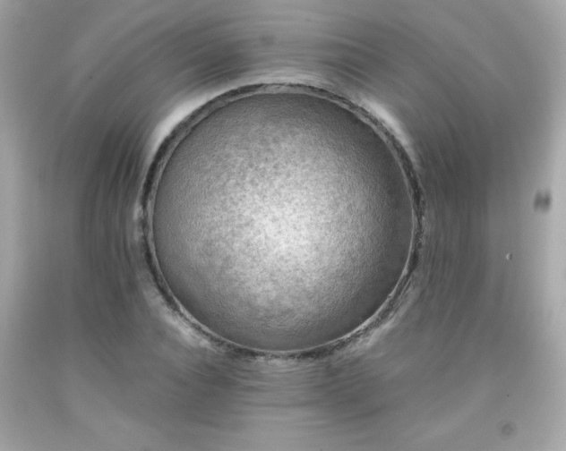 X0000091920928200709121535