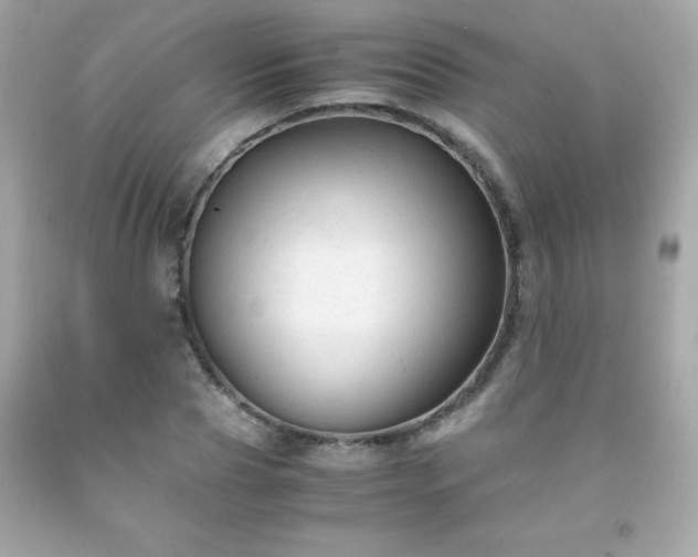 X0000091920929200709121535