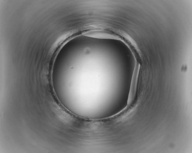 X0000091920930200709121535