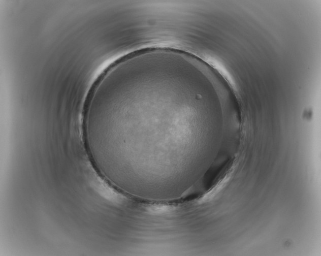 X0000091920932200709121535