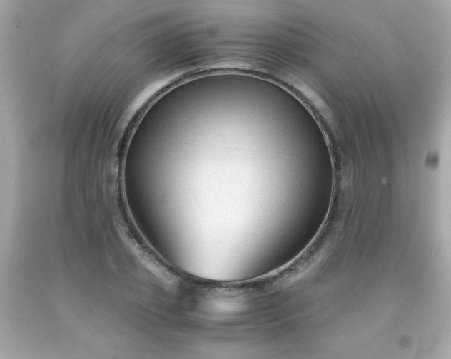 X0000091920933200709121535