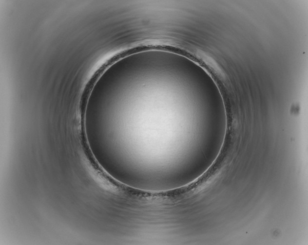 X0000091920934200709121535