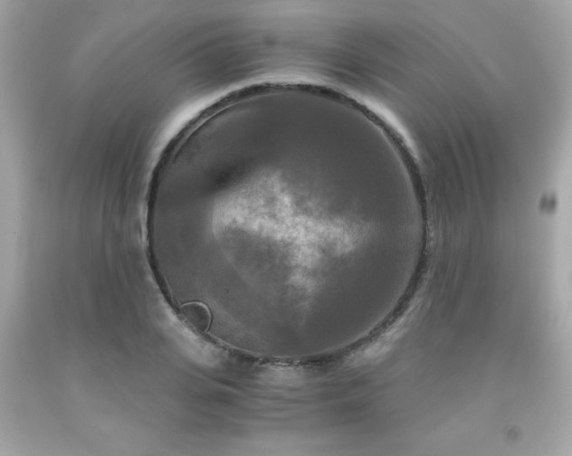 X0000091920935200709121535