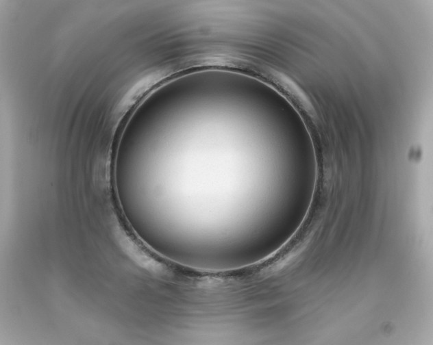 X0000091920938200709121535