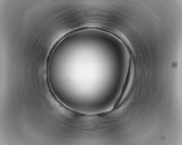 X0000091920939200709121535