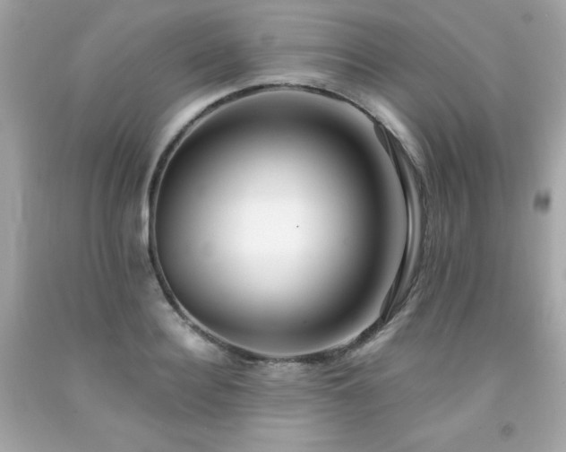 X0000091920940200709121536