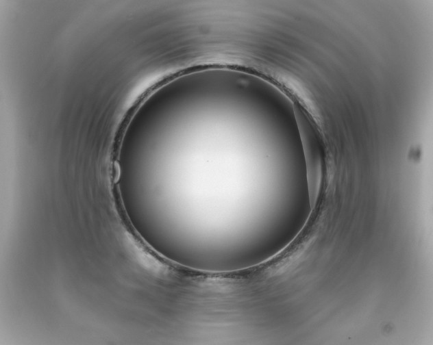 X0000091920942200709121536