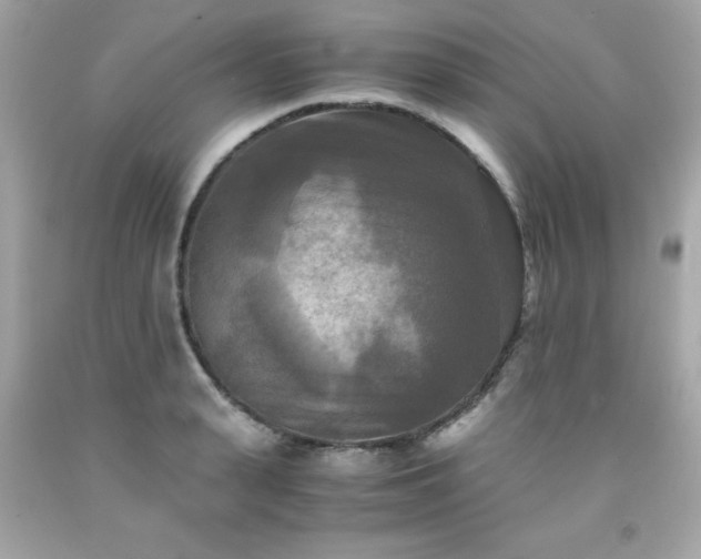 X0000091920943200709121536