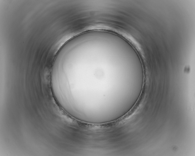 X0000091920945200709121536