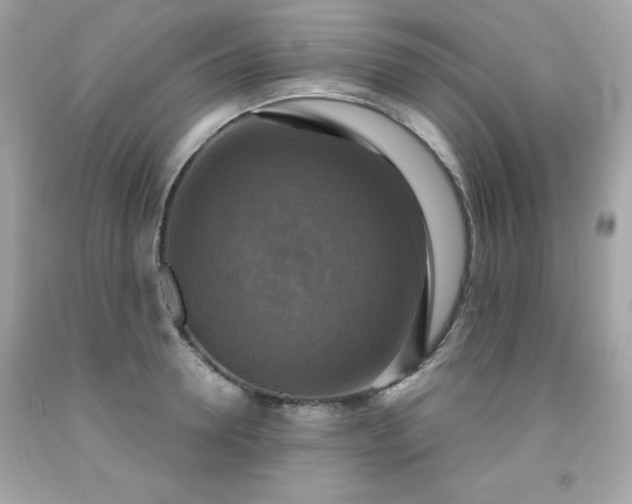 X0000091920946200709121536