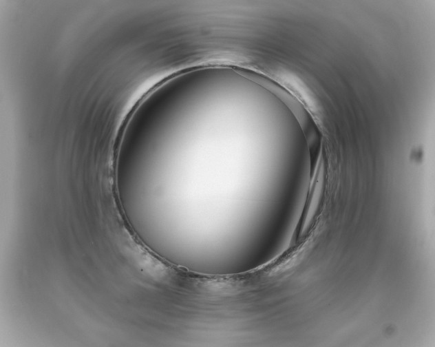 X0000091920948200709121536