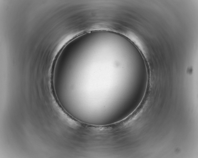 X0000091920949200709121536