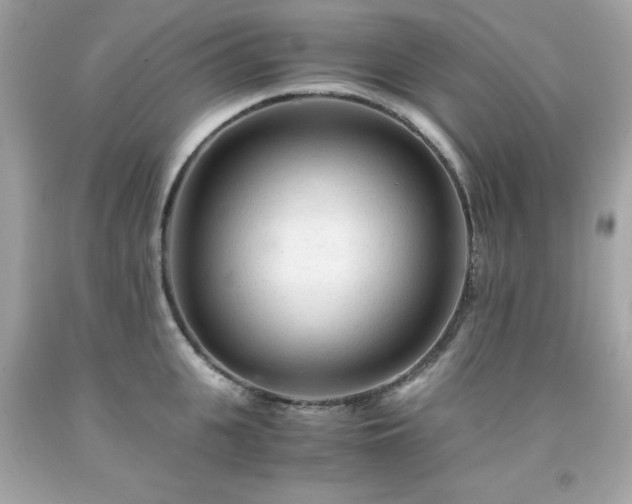 X0000091920951200709121536
