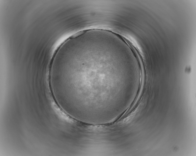 X0000091920952200709121536