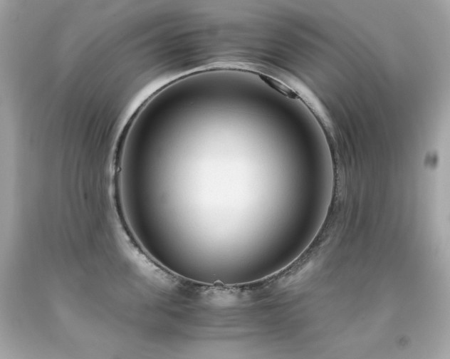 X0000091920955200709121536