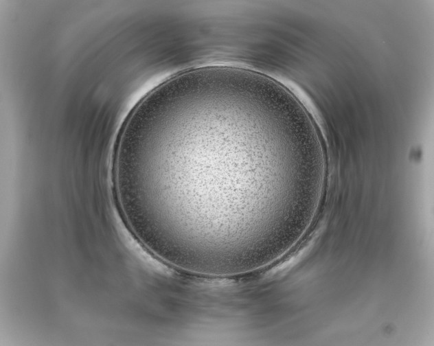 X0000091920957200709121536