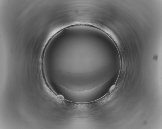 X0000091920958200709121536