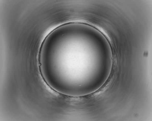 X0000091920959200709121536