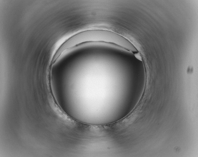 X0000091920960200709121536