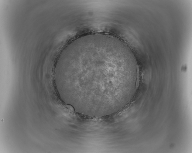 X0000091920961200709121535