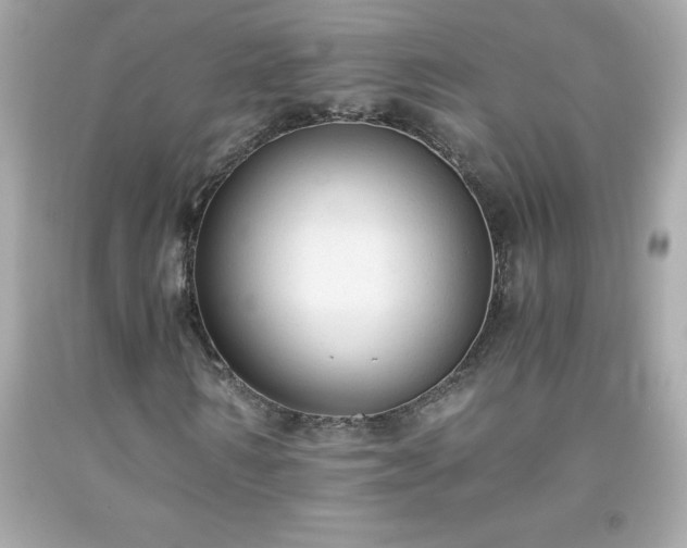 X0000091920962200709121535