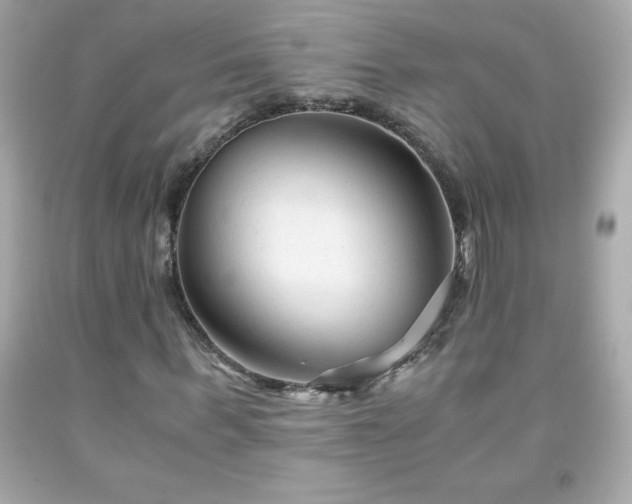 X0000091920963200709121535