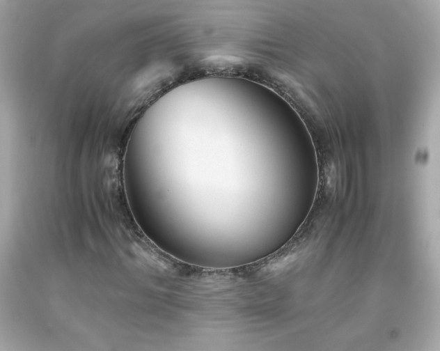 X0000091920964200709121535