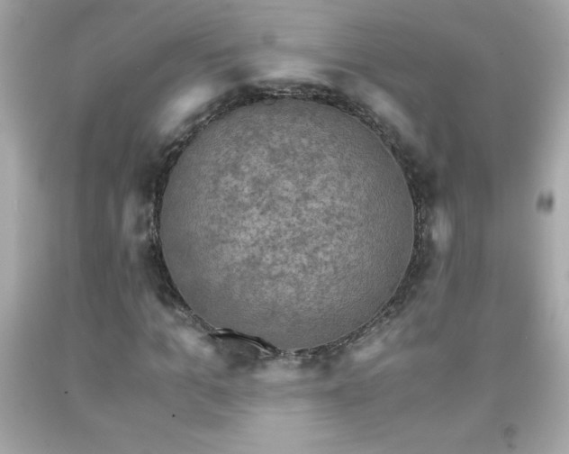 X0000091920965200709121535