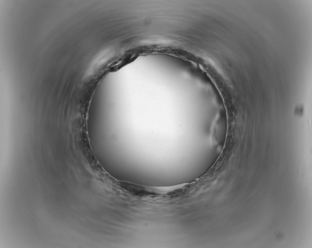 X0000091920967200709121535