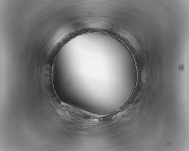 X0000091920968200709121535