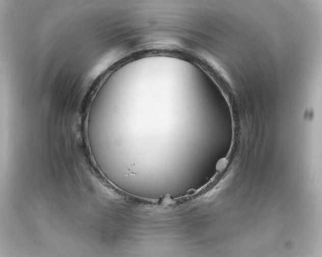 X0000091920970200709121535