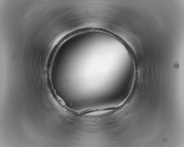 X0000091920972200709121535