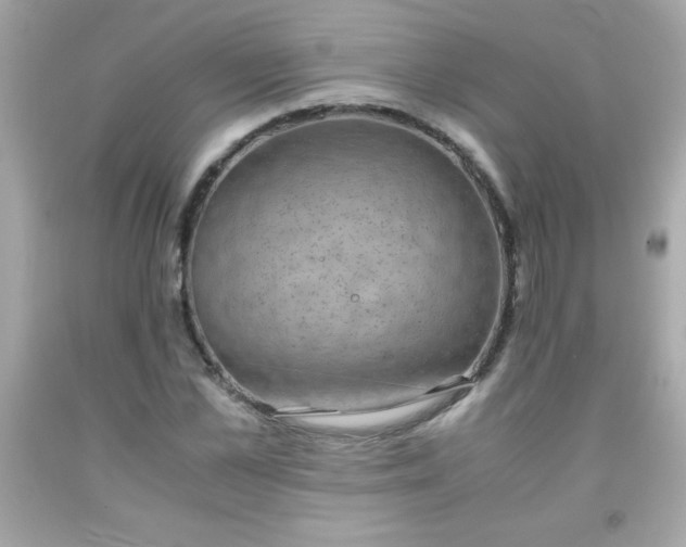 X0000091920973200709121535