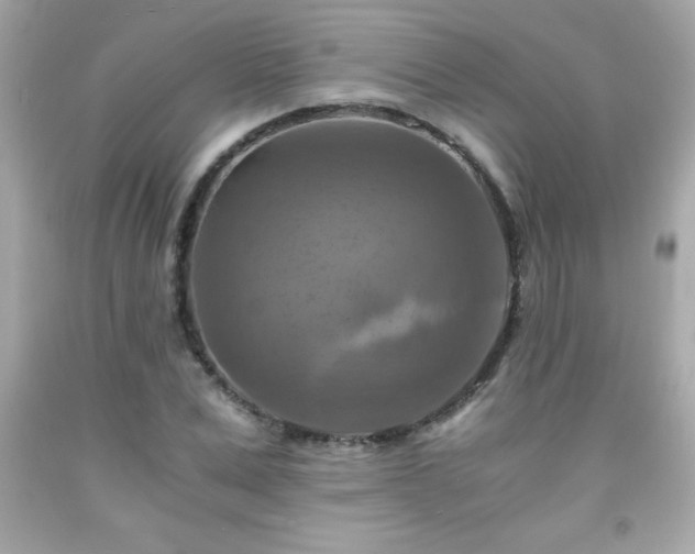 X0000091920975200709121535