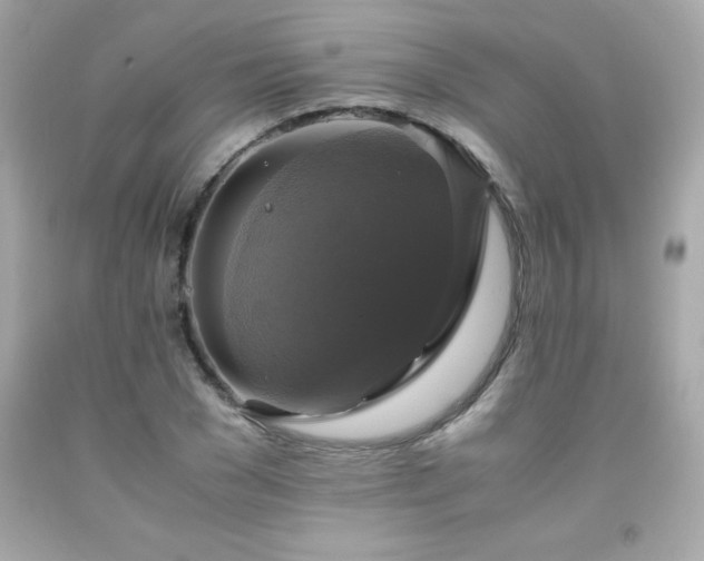 X0000091920977200709121535