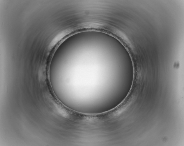 X0000091920978200709121535
