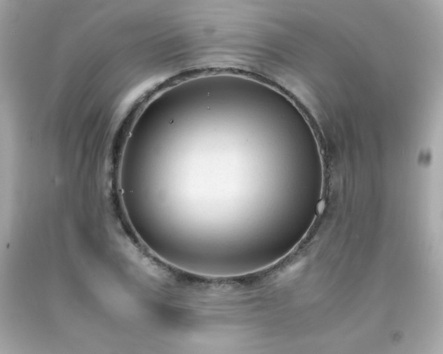X0000091920979200709121535
