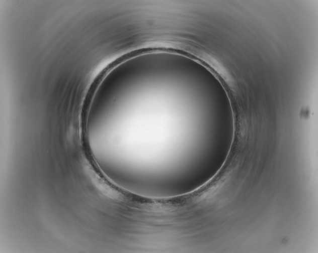 X0000091920980200709121535
