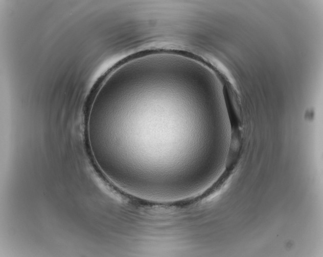 X0000091920981200709121535