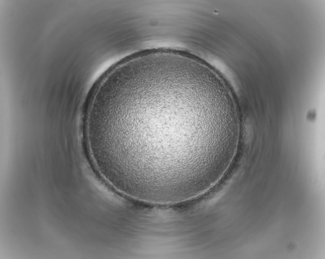 X0000091920983200709121535