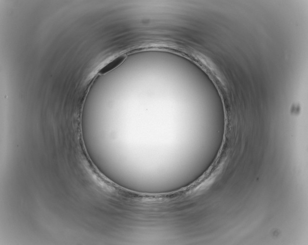 X0000091920985200709121535