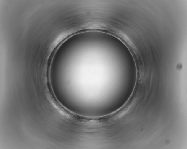 X0000091920986200709121535