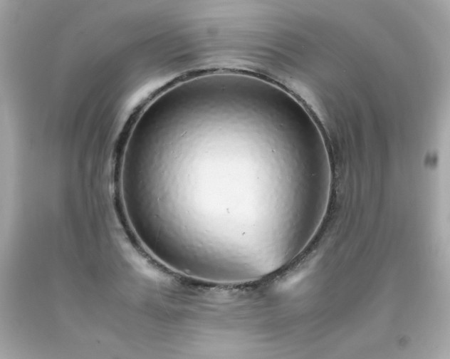 X0000091920987200709121535