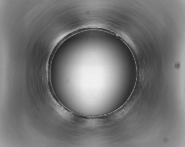 X0000091920988200709121535