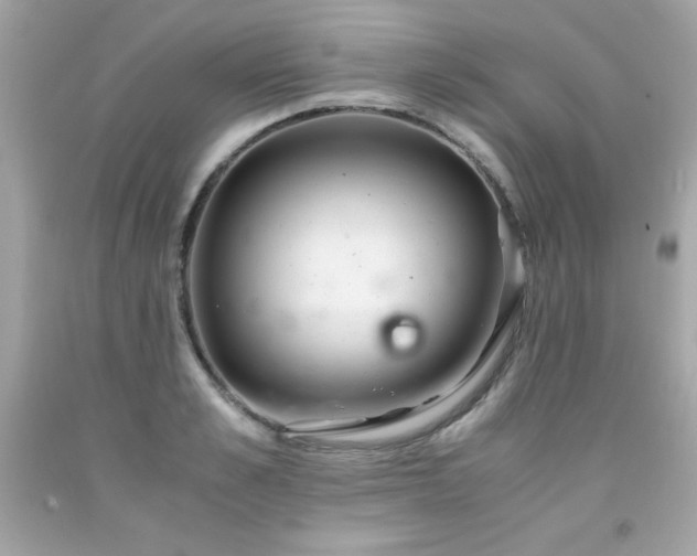 X0000091920989200709121535